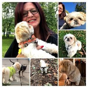 Meet your Posher, Luce